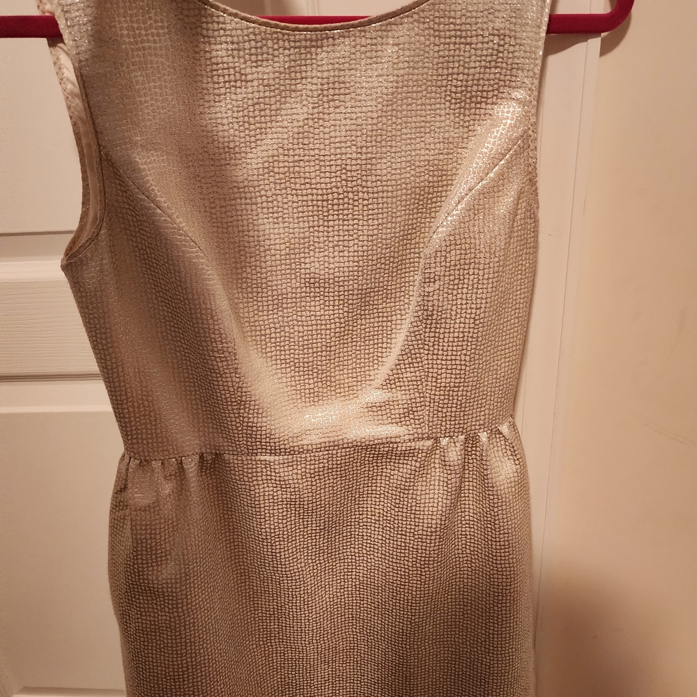 ERIN by Erin Fetherston Silver Mini Dress